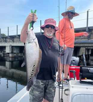 Reel in Delray Beach's Finest Clown Knife Fish 